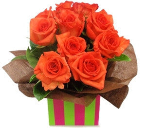 Orange Roses