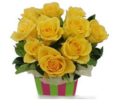 Yellow Roses