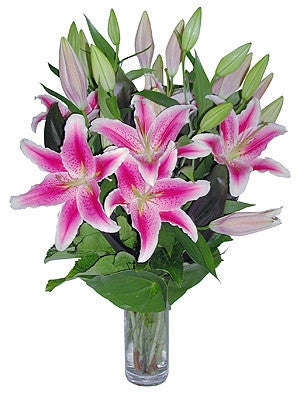 Oriental Lily Flowers