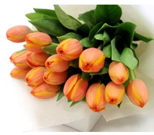 Tulip Bouquet - Orange