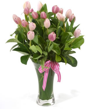 Pink Tulips